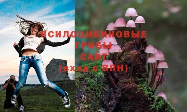а пвп мука Абинск