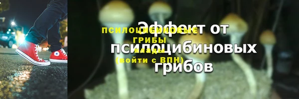 дмт Абдулино