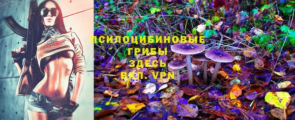 дмт Абдулино
