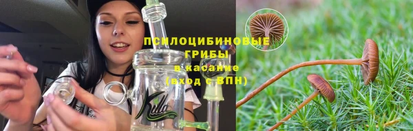 прущие крисы Абаза