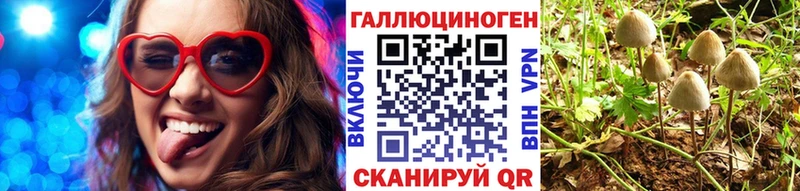 Галлюциногенные грибы прущие грибы  ОМГ ОМГ ТОР  Данилов 